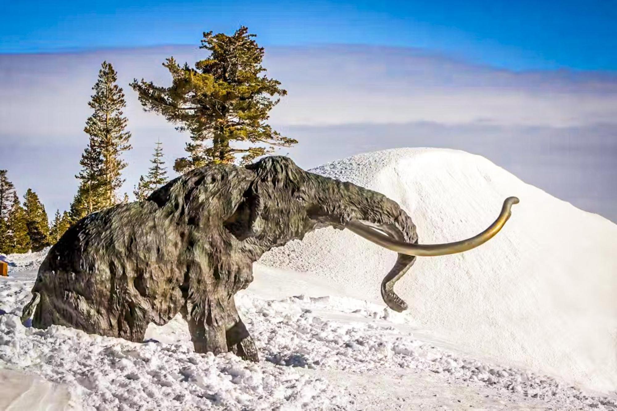 Discovery 4 162 Mammoth Lakes Extérieur photo
